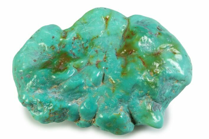 Polished Chilean Turquoise ( grams) Nugget #358829